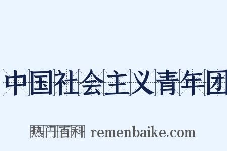中国社会主义青年团是什么意思的图片